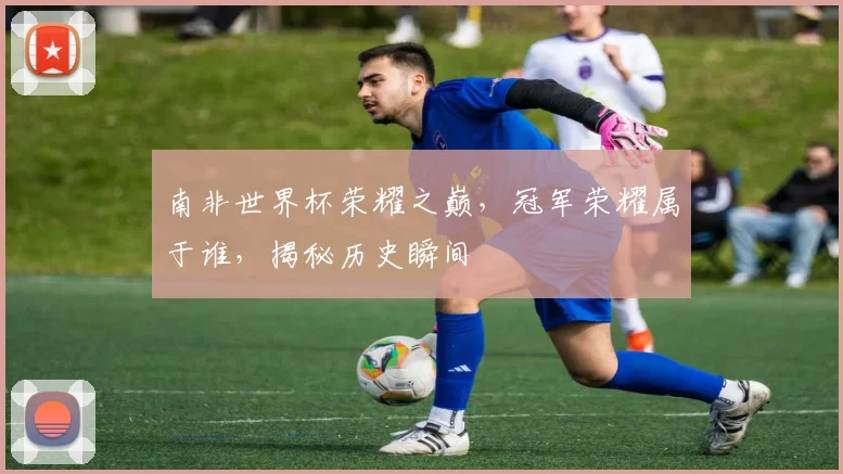 南非世界杯荣耀之巅，冠军荣耀属于谁，揭秘历史瞬间
