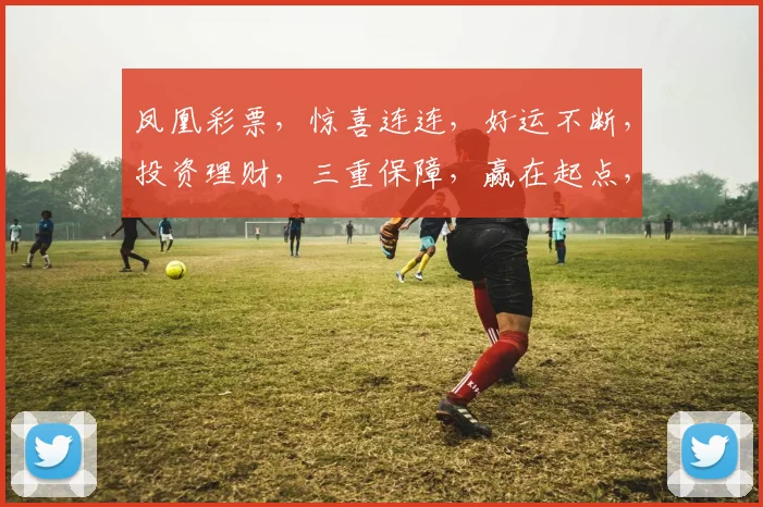 凤凰彩票，惊喜连连，好运不断，投资理财，三重保障，赢在起点，轻松致富