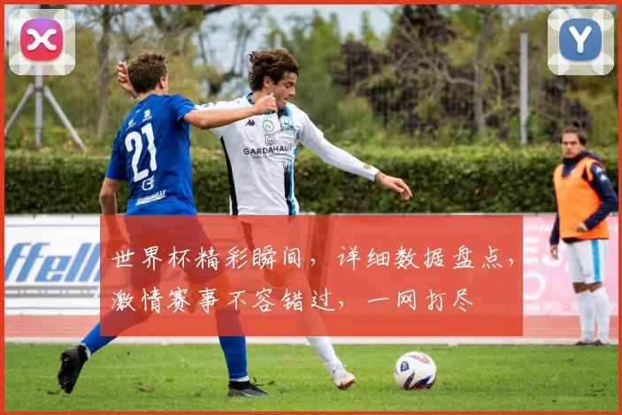 世界杯精彩瞬间，详细数据盘点，激情赛事不容错过，一网打尽