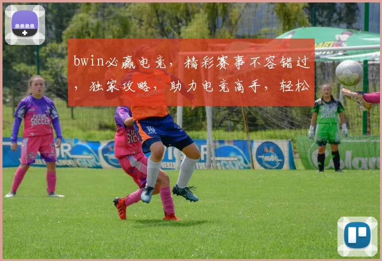 bwin必赢电竞，精彩赛事不容错过，独家攻略，助力电竞高手，轻松锁定胜利