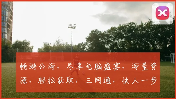 畅游公海，尽享电脑盛宴，海量资源，轻松获取，三网通，快人一步，体验非凡